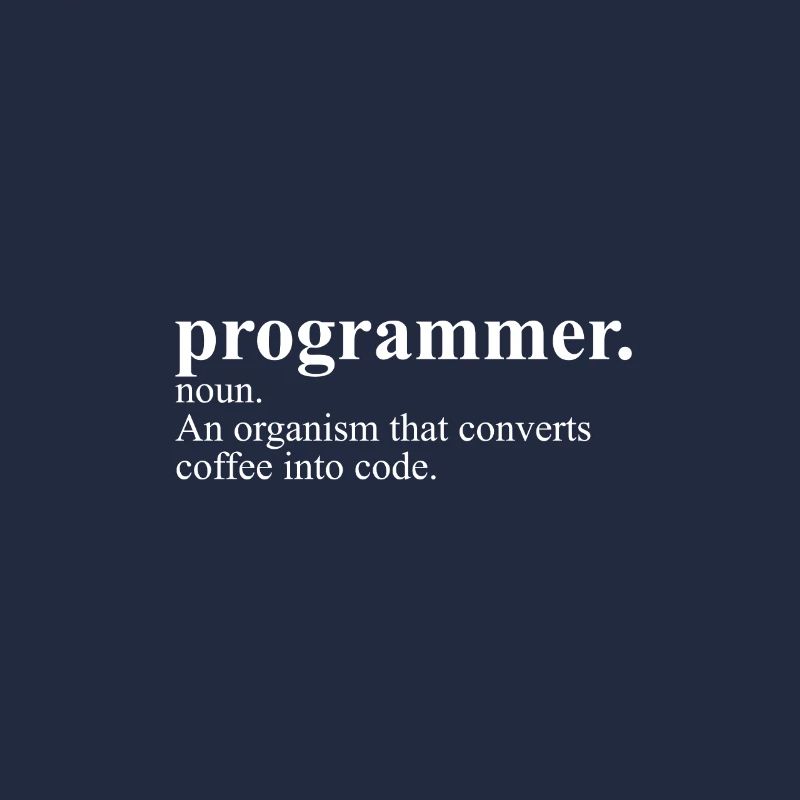 Programmer Definition