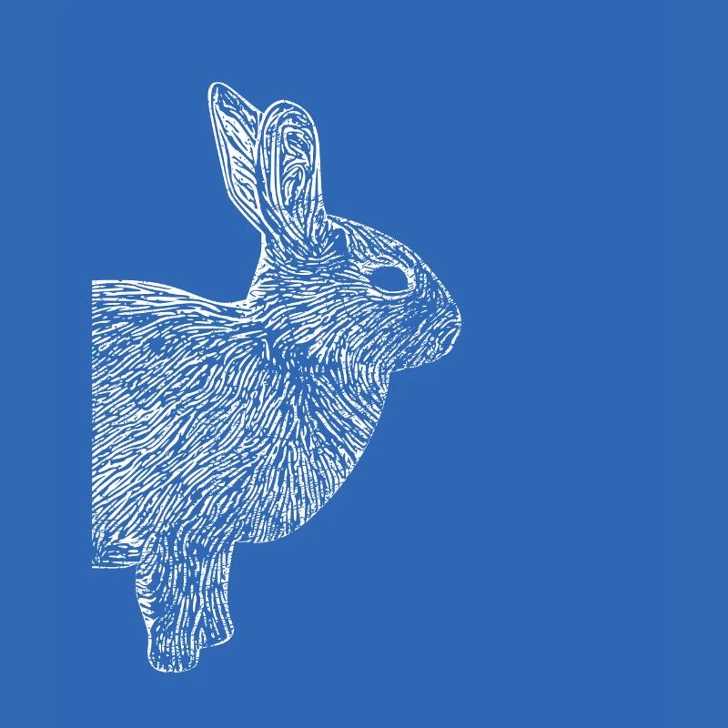 Rabbit Dwarf Rabbit
