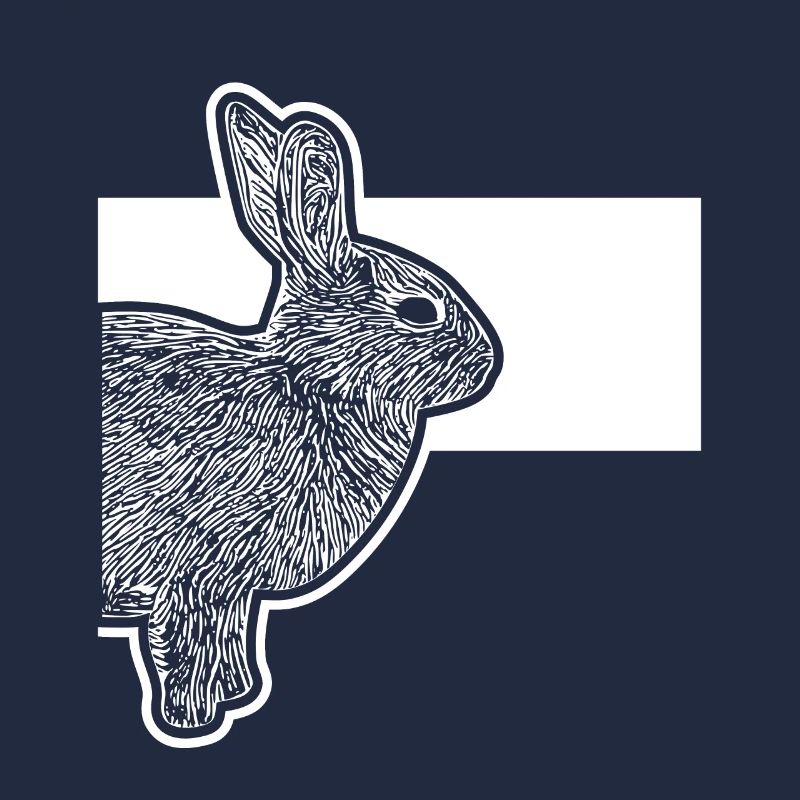 Cute Dwarf Rabbit Rabbit Breeder