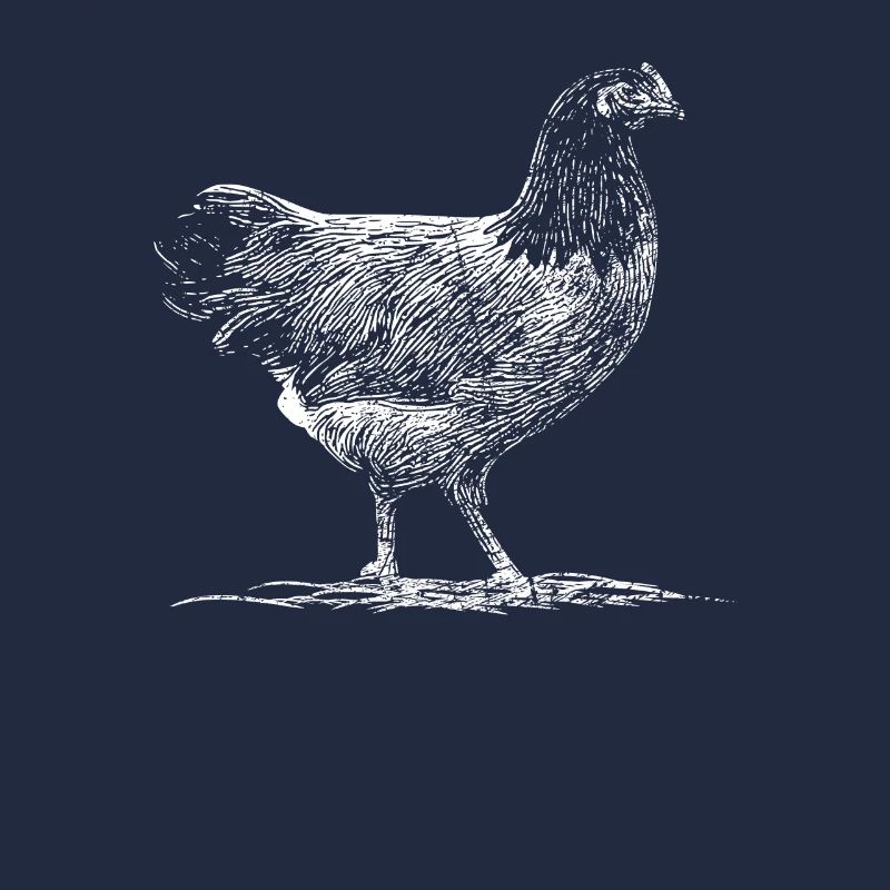 Dessin poulets à prédateurs Idée de cadeau