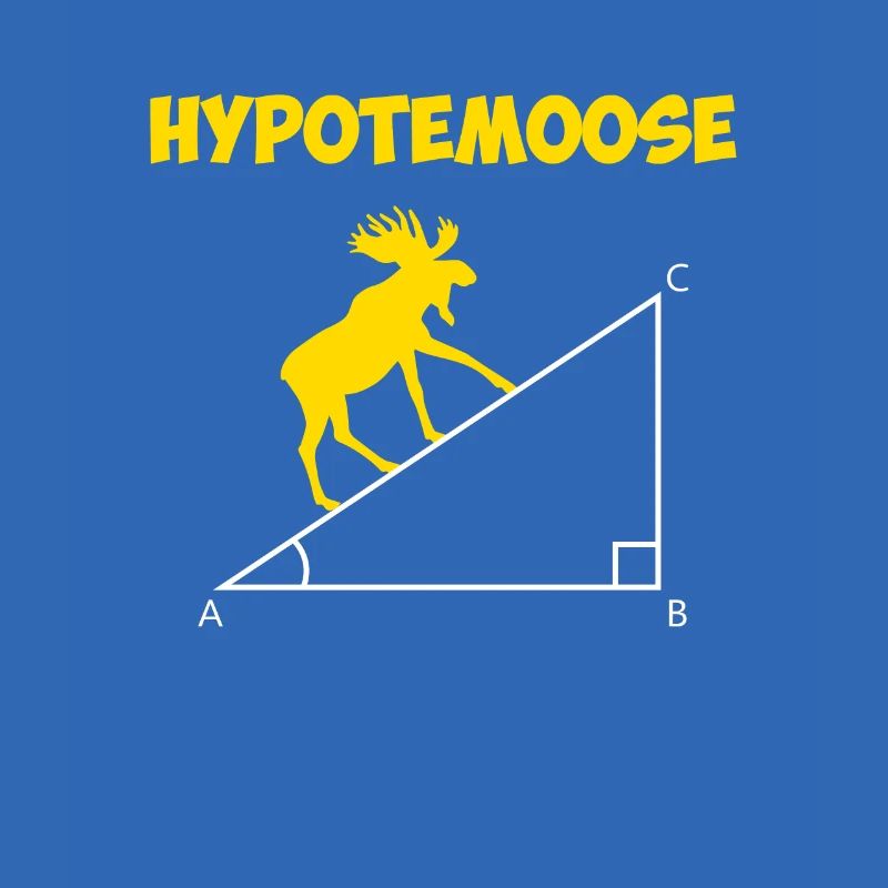 hypotemoose, math teacher hypotemoose