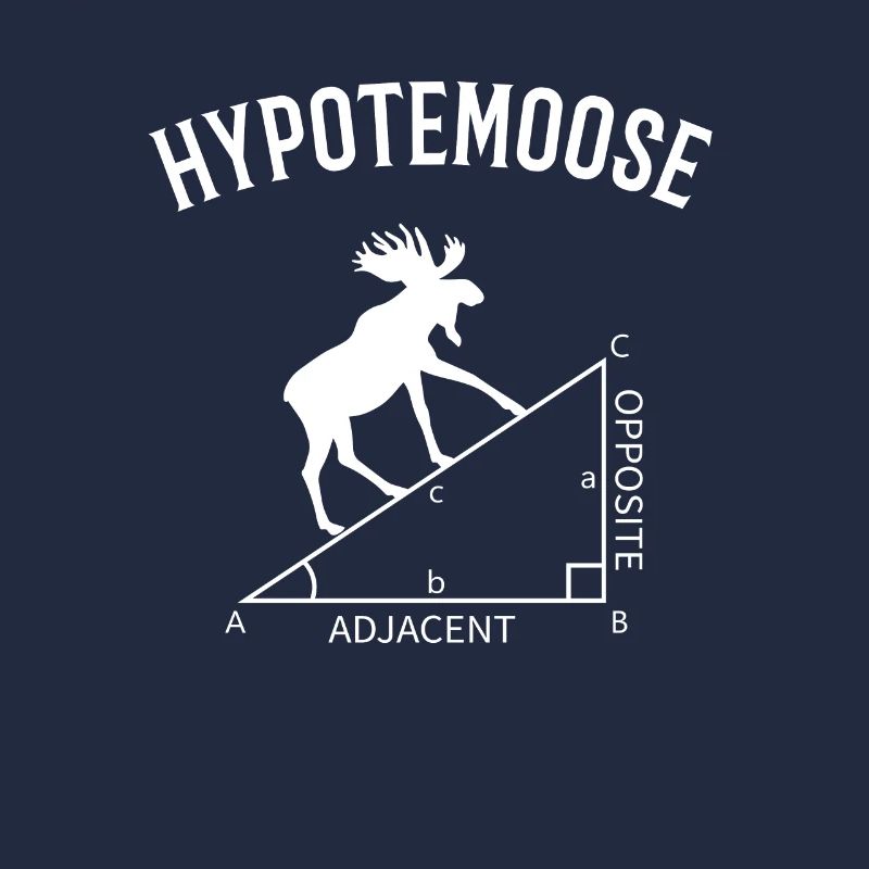 hypotemoose, math teacher hypotemoose