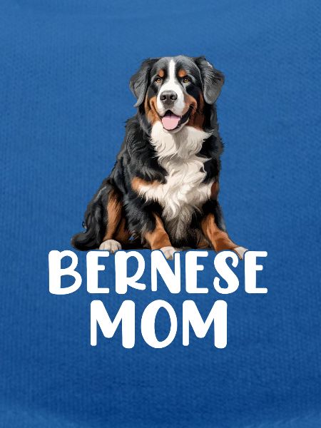 bernese mountain dog