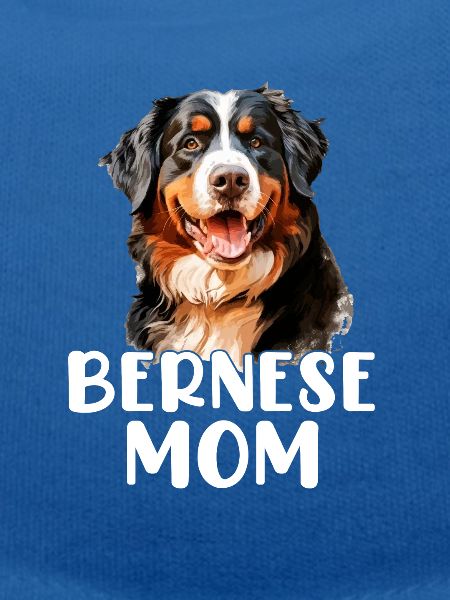 bernese mountain dog