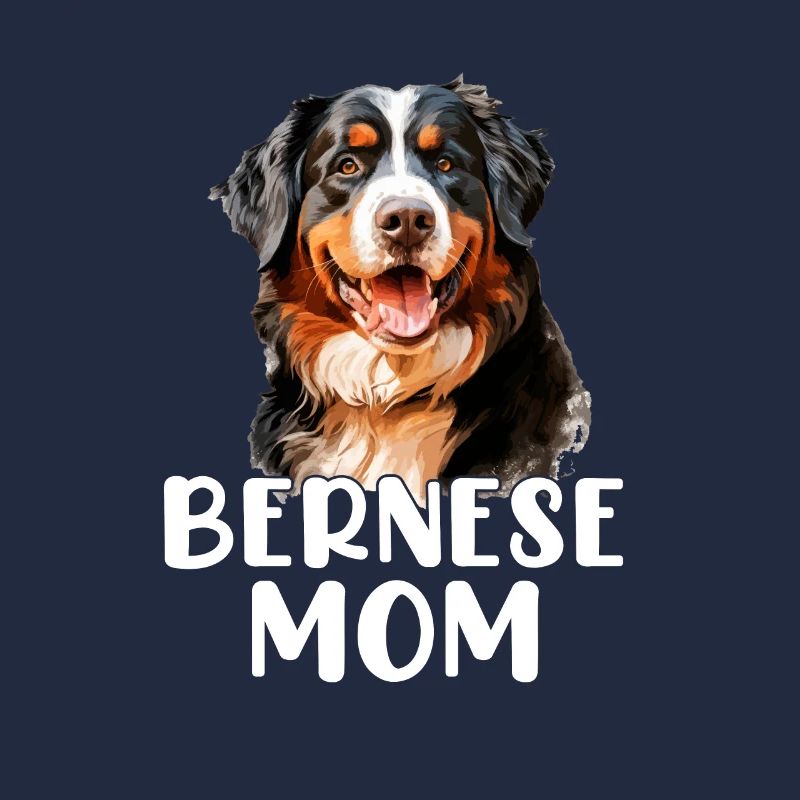 bernese mountain dog