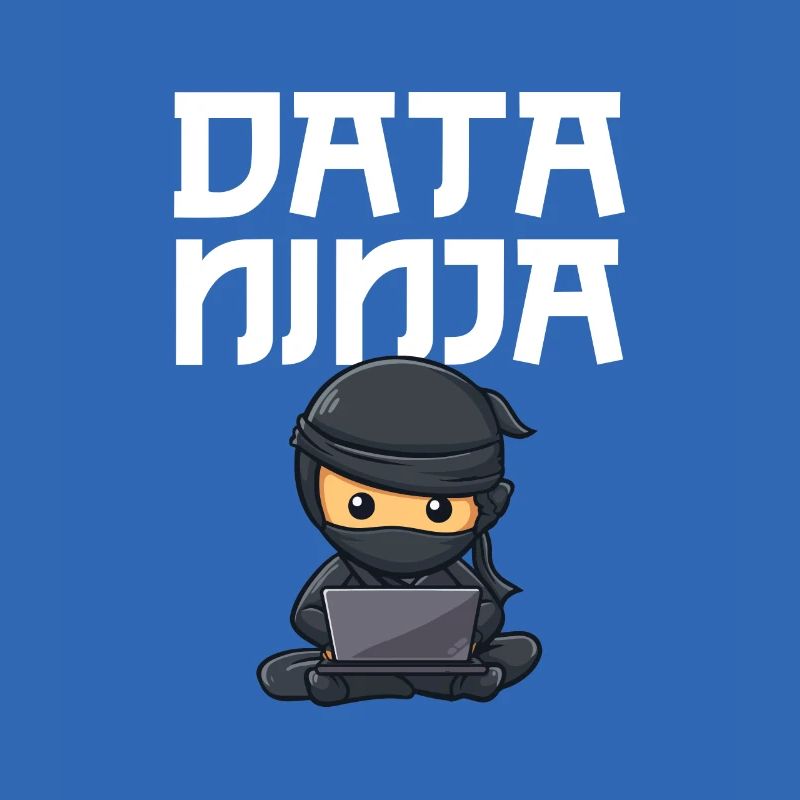 Data ninja data scientist