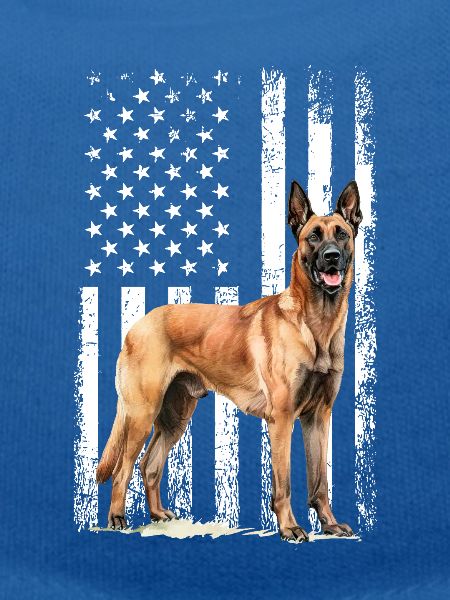 Belgian Malinois