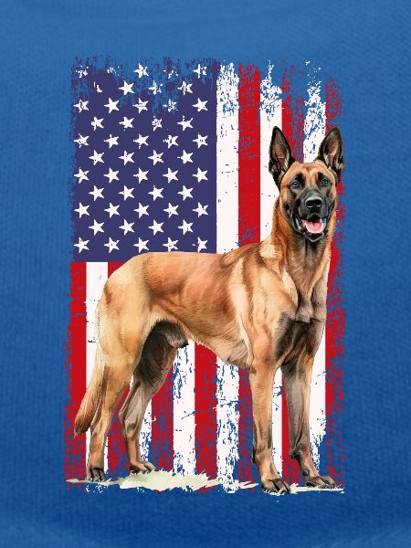 Belgian Malinois