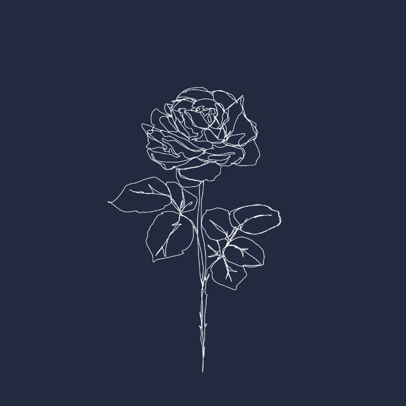Rose blanche