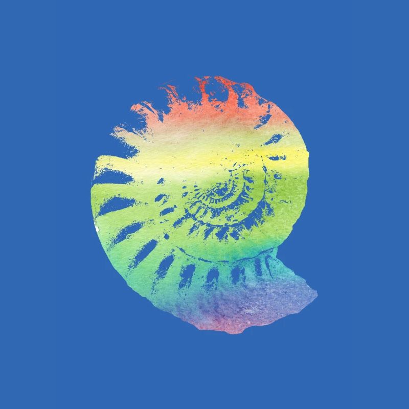 Fossil Ammonit in regenbogenfarben Geschenk