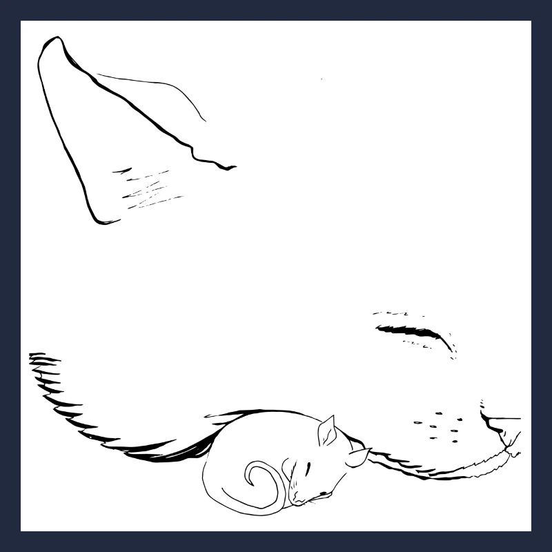 chat et souris