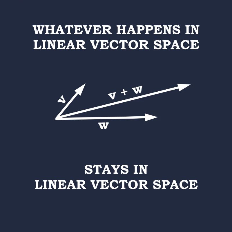 Cadeau de professeur de mathématiques espace vectoriel mathématicien