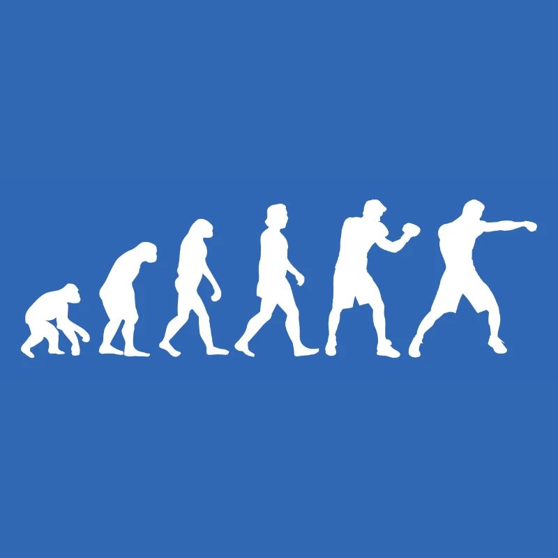 Evolution Boxer Boxhandschuhe Boxen Geschenk