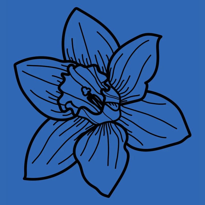 Daffodil flower