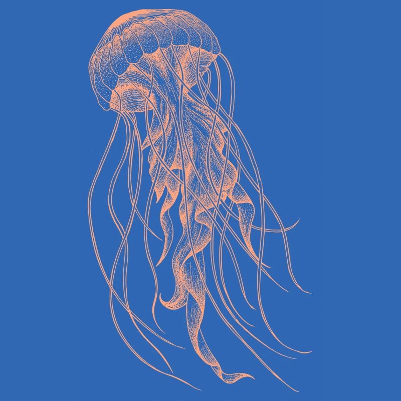 Conception de méduses