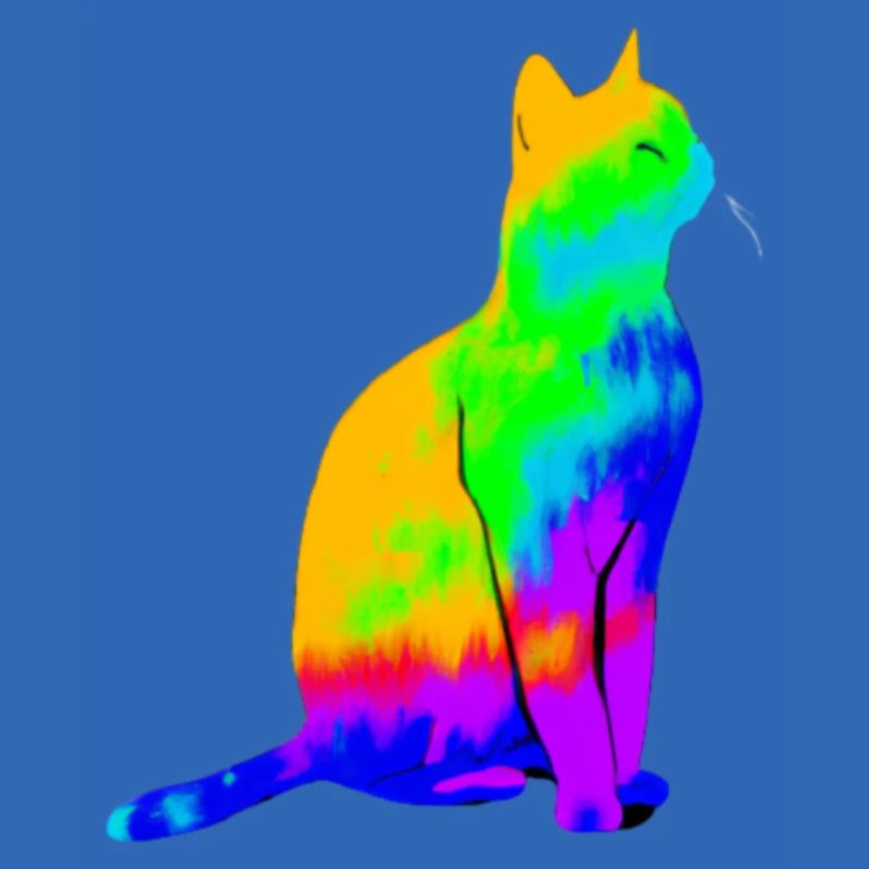 chat coloré mignon mignon idée cadeau