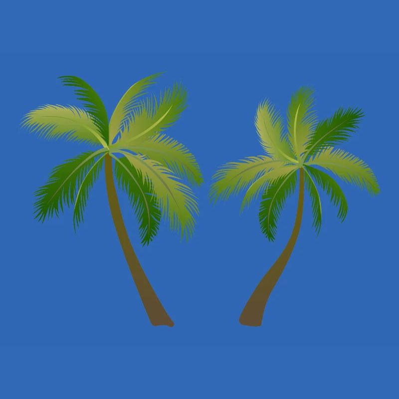 palm tree palm palms 2305 S