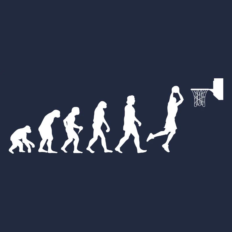 Idée cadeau Basketball Evolution Dunk Dunking