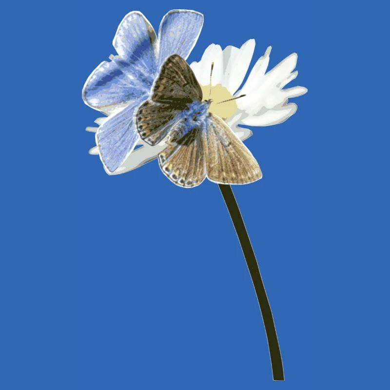 Zwei Bläuling Schmetterlinge auf einer Blüte