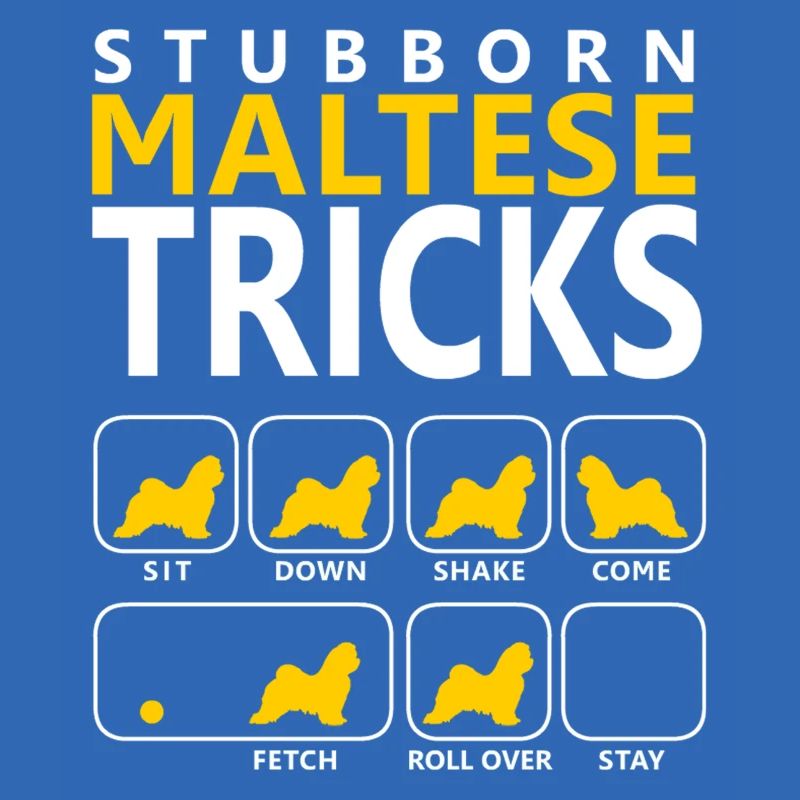 Stubborn Maltese Tricks
