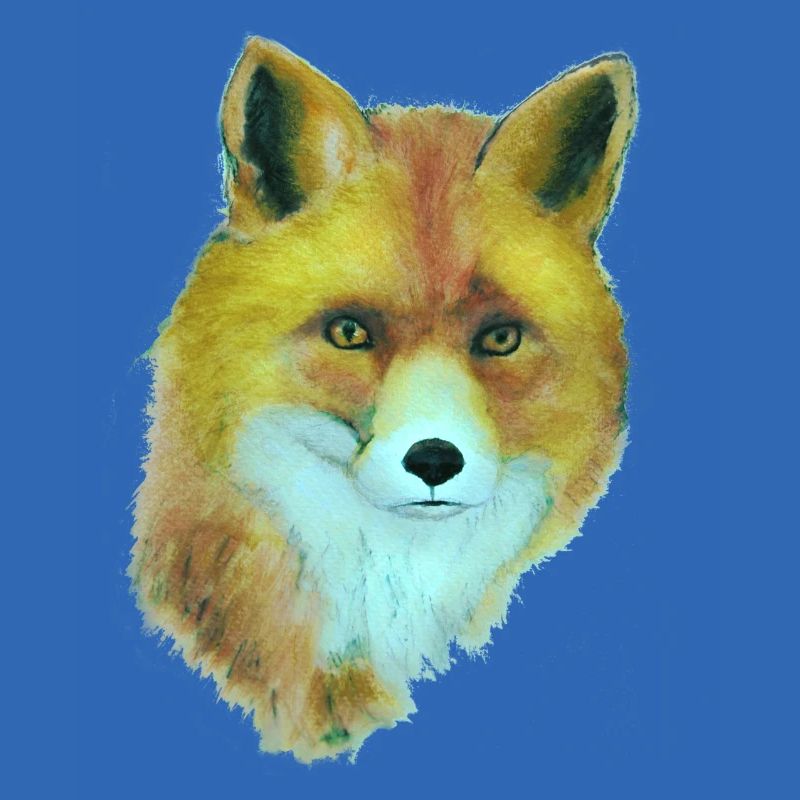 Fuchs