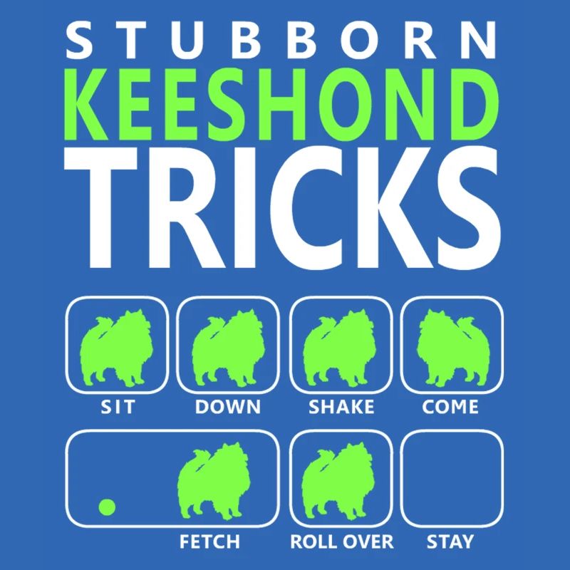Hartnäckige Keeshond-Tricks