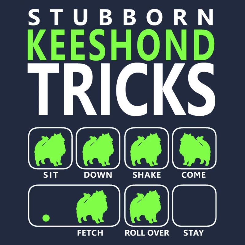 Hartnäckige Keeshond-Tricks