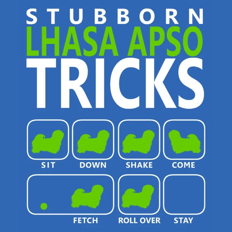 Stubborn Lhasa Apso Tricks
