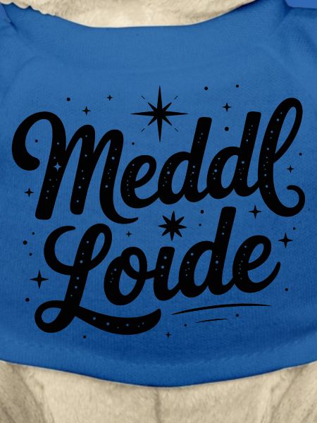 Meddl Loide - German Memes