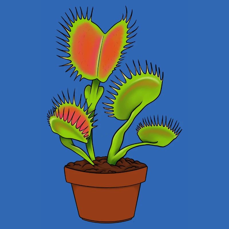 Carnivorous plantVenus flytrap