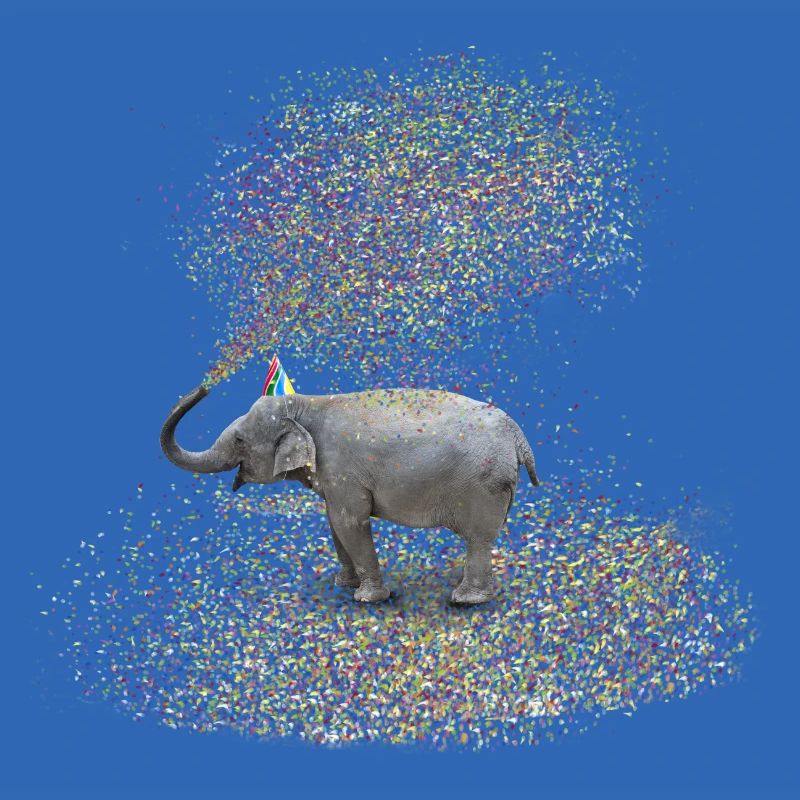 l'éléphant