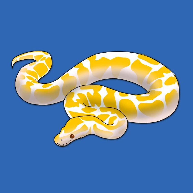 Albino ball python Python regius ballpython motif