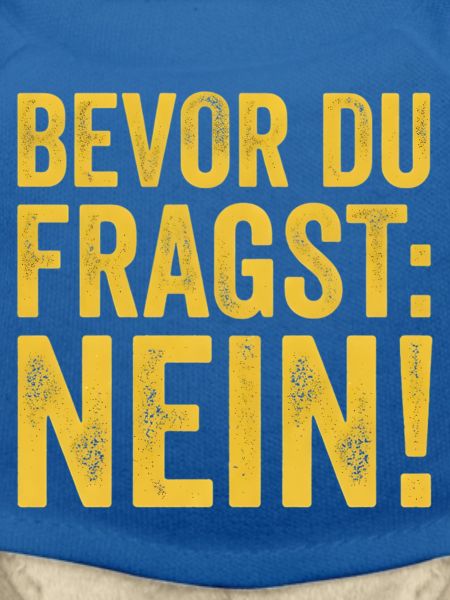 Spruch Bevor du fragst Nein