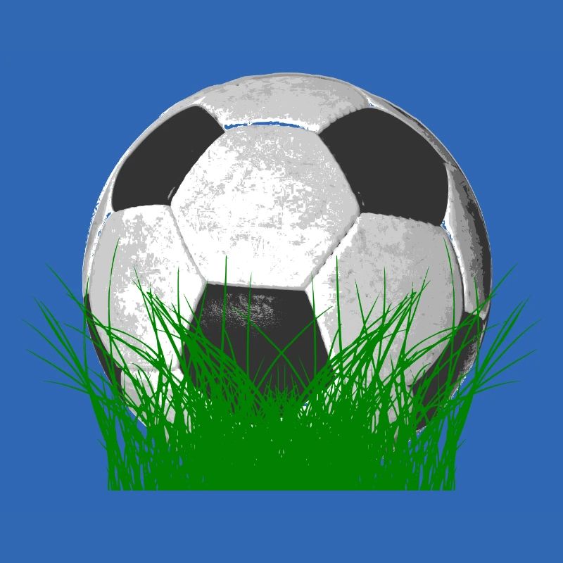 Fußball im Gras