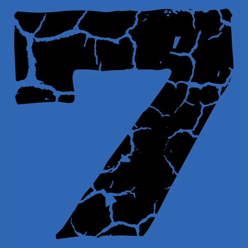 7 Number jersey