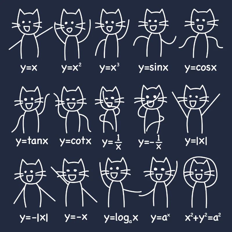 Mathématiques Algebra fonctions danse chat cadeau