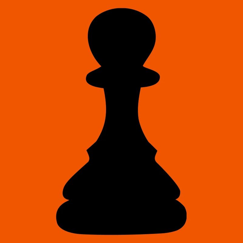 schach bauer