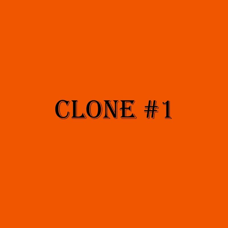 Clone #1
