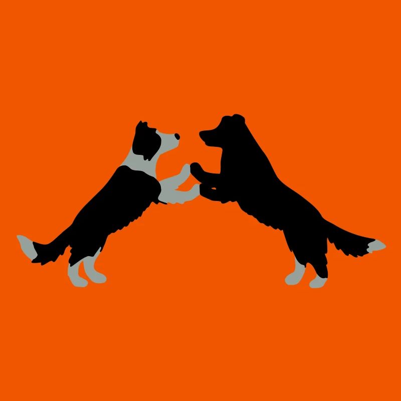 dog dancing Border Collies