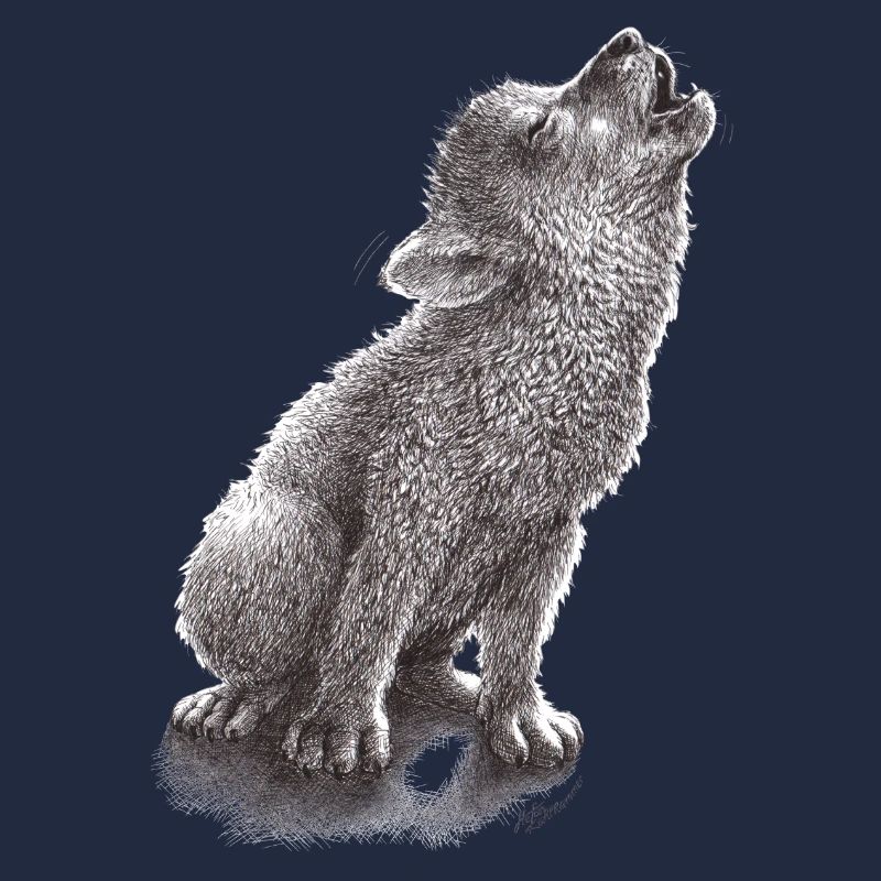 Junger heulender Wolf