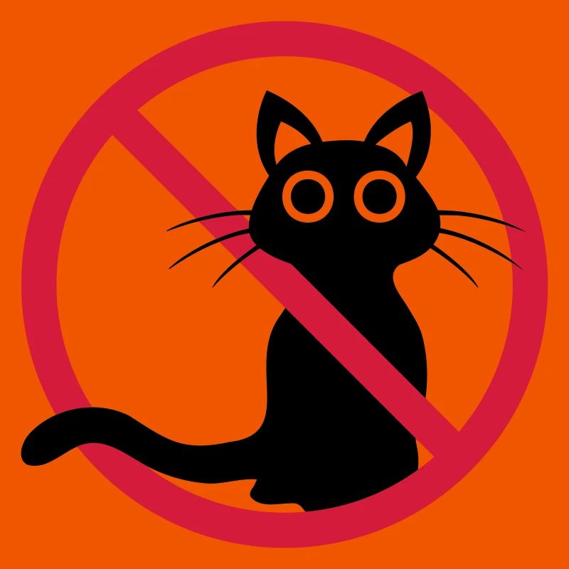 Chat noir interdit