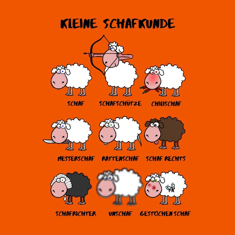 A little sheep knowledge