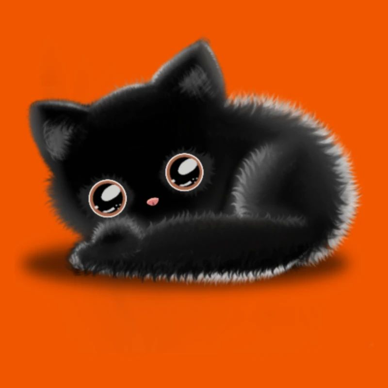 Schwarze Katze 🐈‍⬛