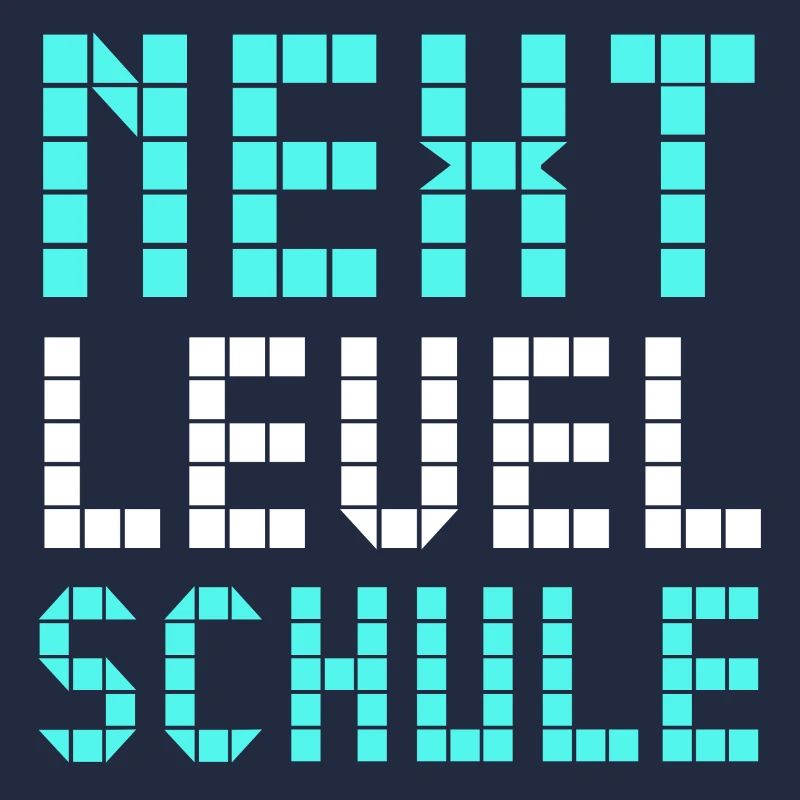 Next Level Schule