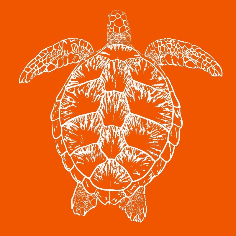 Turtle white2