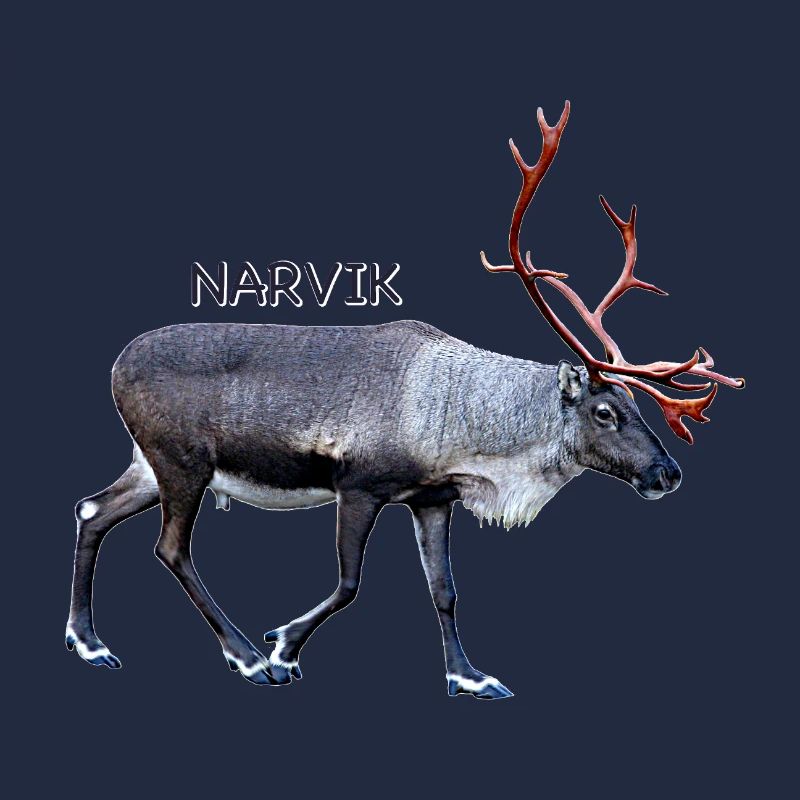 NARVIK