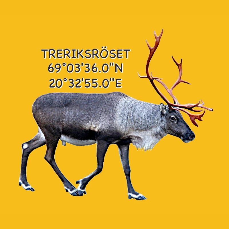 DREI-LÄNDER-ROSETTE