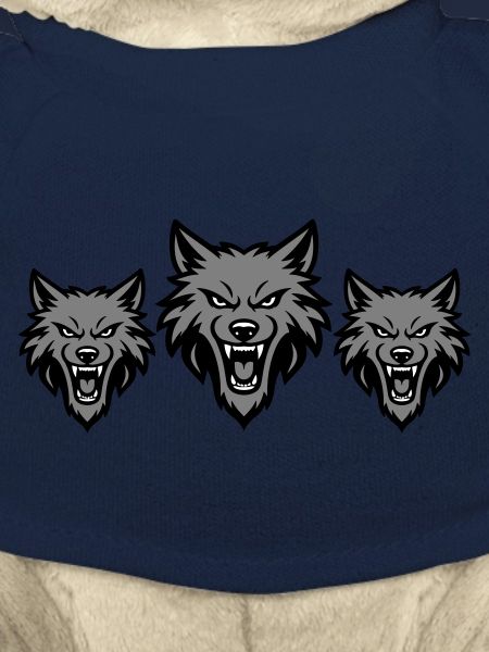 Meute d’équipe de loups