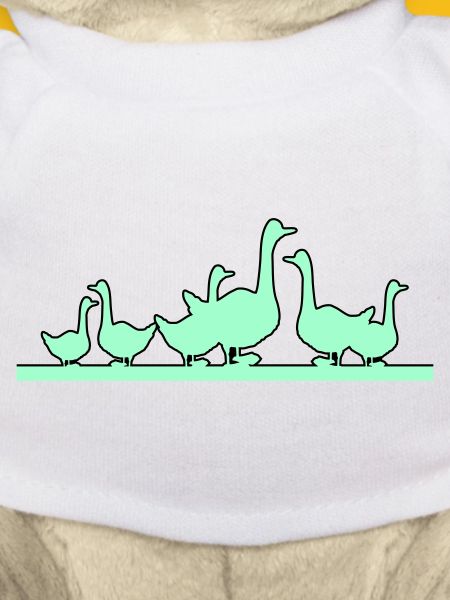 Ducks Geese