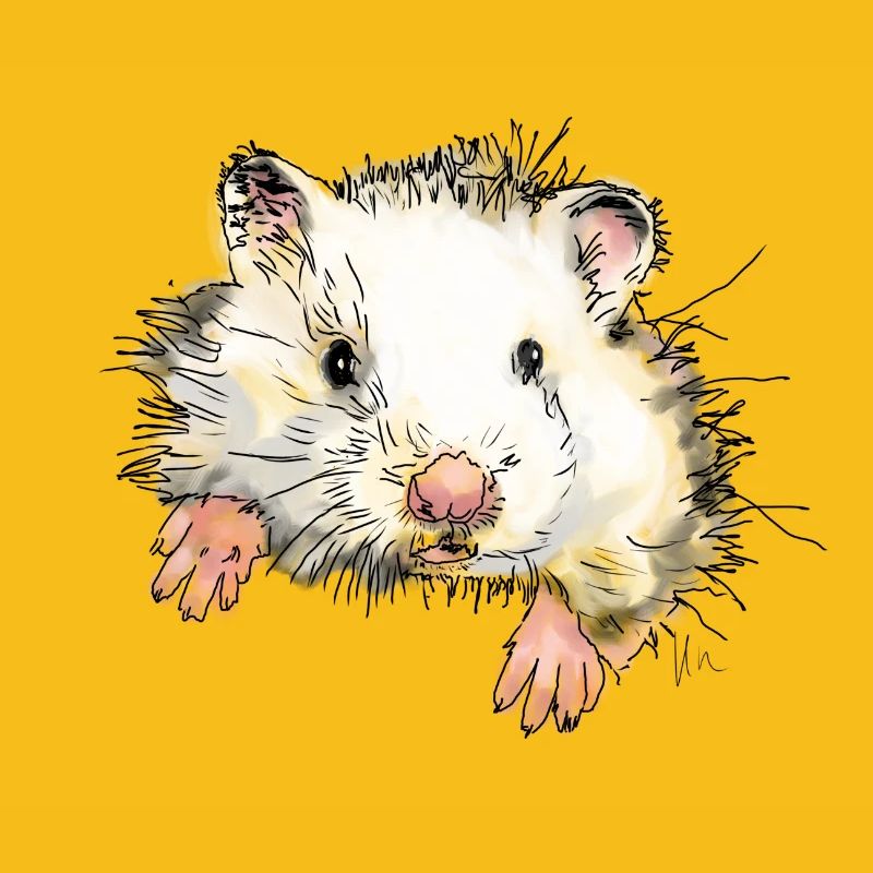 Hamster